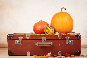 suitcase with pumpkins on top of it