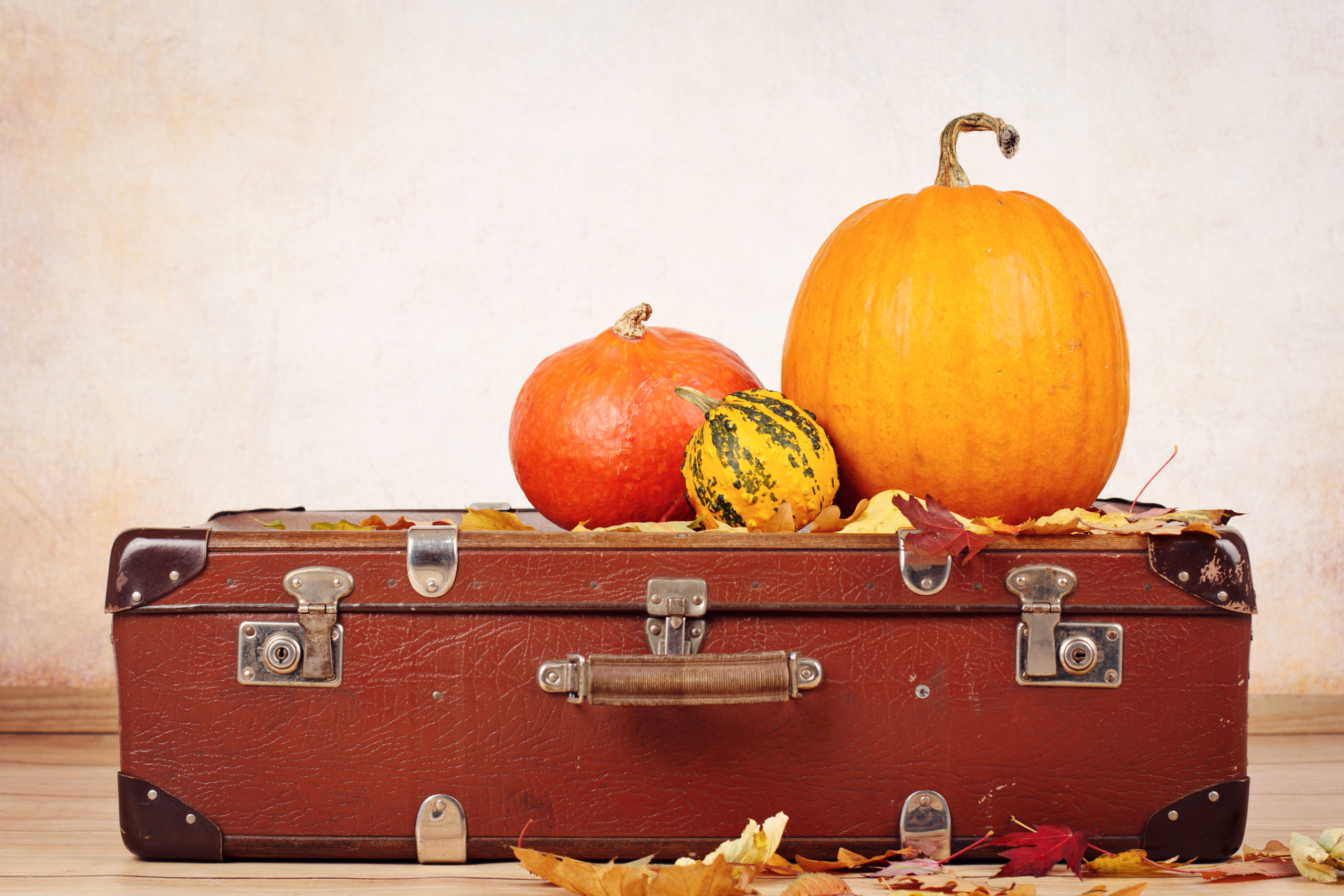 suitcase with pumpkins on top of it